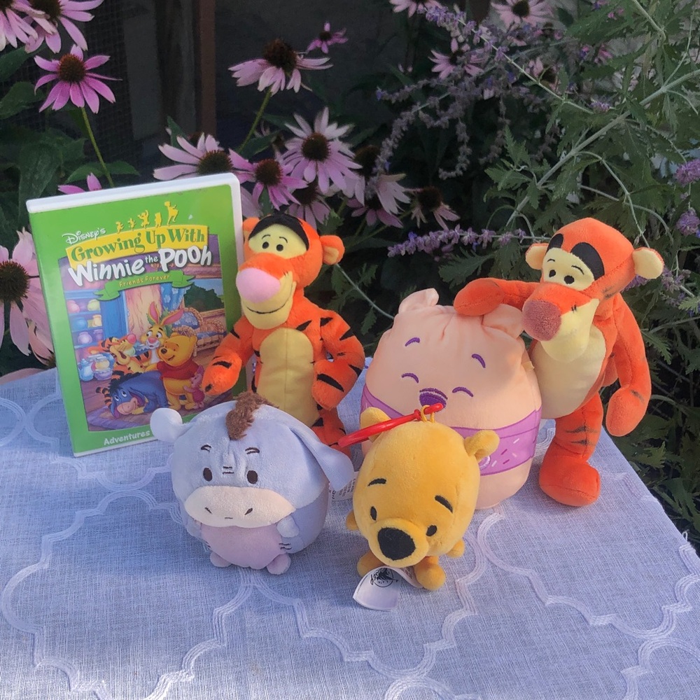DISNEY Winnie the Pooh Tigger Eeyore & Pooh stuffed plush toys & toddler DVD